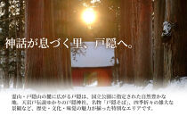 長野市戸隠内宿泊補助券&nbsp;150000円分