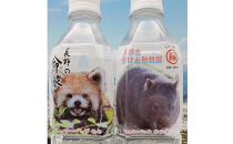 長野の命水（茶臼山動物園ラベル）500ml×24本&nbsp;飲料類&nbsp;ミネラルウォーター