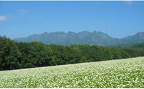 長野の命水（茶臼山動物園ラベル）500ml×24本&nbsp;飲料類&nbsp;ミネラルウォーター