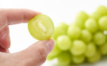 2026年産&nbsp;ぶどう&nbsp;&nbsp;長野市産&nbsp;シャインマスカット&nbsp;ビックサイズ&nbsp;一房入り&nbsp;600g以上&nbsp;葡萄&nbsp;ブドウ&nbsp;果物&nbsp;フルーツ&nbsp;デザート&nbsp;おやつ&nbsp;信州&nbsp;大房&nbsp;大粒&nbsp;上品な香り