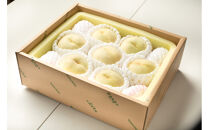 桃&nbsp;【2026年6月発送】&nbsp;&nbsp;井頭&nbsp;白桃&nbsp;7～8玉入り&nbsp;2.2kg規格箱&nbsp;もも&nbsp;モモ&nbsp;岡山県産&nbsp;国産&nbsp;フルーツ&nbsp;果物&nbsp;ギフト&nbsp;井頭栄果園