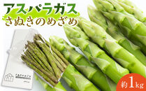 アスパラガス&nbsp;アスパラ&nbsp;さぬきのめざめ&nbsp;春芽&nbsp;約1kg&nbsp;香川県&nbsp;オリジナル品種