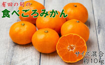 有田の旬の食べごろみかん約10kg（サイズ混合）（秀・優品混合）★2026年11月下旬頃より順次発送&nbsp;［TM227］