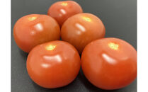 訳ありミニトマト　約3kg