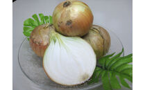 ＜2026年3月下旬以降発送・先行予約＞極早生たまねぎ&nbsp;約10kg