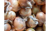 ＜2026年3月下旬以降発送・先行予約＞極早生たまねぎ&nbsp;約10kg