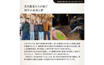 龍馬1865＋WAGYU&nbsp;DIAMOND&nbsp;FUJI&nbsp;サーロインステーキ300g×5・ローススライス300g×5【配送不可：沖縄県・離島】