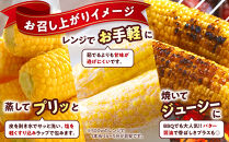 朝採&nbsp;新鮮&nbsp;白浜町産&nbsp;ホワイトコーン&nbsp;とうもろこし&nbsp;2Lサイズ&nbsp;10～12本&nbsp;はたごや農園