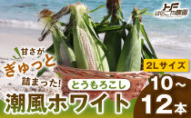 ［2027年発送&nbsp;先行予約&nbsp;夏の味覚］潮風ホワイト&nbsp;2Lサイズ&nbsp;10～12本&nbsp;とうもろこし&nbsp;トウモロコシ&nbsp;白&nbsp;コーン&nbsp;とうもろこし&nbsp;BBQ&nbsp;焼き肉&nbsp;白浜町