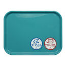 TATSU-CRAFT&nbsp;マグネット&nbsp;ノンスリップ&nbsp;トレー&nbsp;カラー&nbsp;41cm&nbsp;TBL&nbsp;ターコイズブルー［Tk1170］