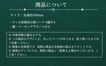 【ボークス】ブロッカーズFIORE&nbsp;ヴィオラ｜京都&nbsp;人気ホビーショップ&nbsp;美少女プラモデル&nbsp;&nbsp;[&nbsp;ブロッカーズ&nbsp;プラモデル&nbsp;メカ&nbsp;フィギュア&nbsp;美プラ人気&nbsp;おすすめ&nbsp;ギフト&nbsp;プレゼント&nbsp;通販&nbsp;送料無料&nbsp;ふるさと納税&nbsp;]