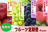 長野市産&nbsp;【先行予約】フルーツ定期便（川中島白桃・ナガノパープル・シャインマスカット・サンふじ）&nbsp;長野市