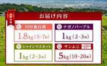 金オ岡村青果株式会社　長野市産&nbsp;【先行予約】フルーツ定期便（川中島白桃・ナガノパープル・シャインマスカット・サンふじ）&nbsp;長野市&nbsp;|&nbsp;&nbsp;桃&nbsp;ナガノパープル&nbsp;シャインマスカット&nbsp;ぶどう&nbsp;りんご&nbsp;フルーツ&nbsp;果物&nbsp;人気&nbsp;おすすめ&nbsp;ギフト&nbsp;プレゼント&nbsp;送料無料&nbsp;長野県&nbsp;長野市&nbsp;信州&nbsp;信濃&nbsp;ふるさと納税