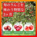 長野県&nbsp;長野市産&nbsp;◎りんごの定期便◎&nbsp;10月～12月&nbsp;3ヵ月連続5kg(12～20玉)ずつお届け　あきばえ・シナノスイート・サンふじ（矢島農園）