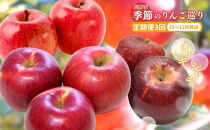 長野県&nbsp;長野市産&nbsp;◎りんごの定期便◎&nbsp;10月～12月&nbsp;3ヵ月連続5kg(12～20玉)ずつお届け　あきばえ・シナノスイート・サンふじ（矢島農園）