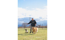 スイーツ作り付き90分いちご狩り食べ放題体験チケット