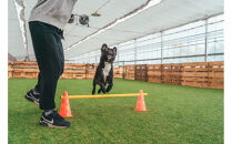 スイーツ作り付き90分いちご狩り食べ放題体験チケット