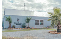 スイーツ作り付き90分いちご狩り食べ放題体験チケット