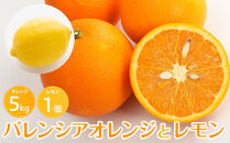 バレンシアオレンジ５ｋｇ＋璃の香（レモン）１個【2026年6月以降発送】