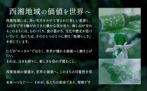 【小田原・曽我の最高傑作「十郎梅」使用梅酒】THE&nbsp;HEALING&nbsp;LIQUEUR&nbsp;SOGA