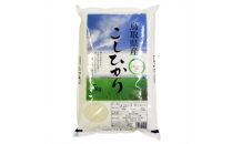 鳥取のお米&nbsp;コシヒカリ&nbsp;5kg&nbsp;精米【R7年産&nbsp;2025年産&nbsp;米&nbsp;こめ&nbsp;ご飯&nbsp;ごはん&nbsp;おにぎり&nbsp;おむすび&nbsp;夕食&nbsp;5キロ&nbsp;鳥取県産&nbsp;北栄町&nbsp;おすすめ&nbsp;人気】