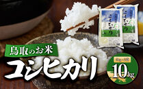 鳥取のお米&nbsp;コシヒカリ&nbsp;5kg&nbsp;×&nbsp;2袋&nbsp;精米【R7年産&nbsp;2025年産&nbsp;米&nbsp;こめ&nbsp;ご飯&nbsp;ごはん&nbsp;おにぎり&nbsp;おむすび&nbsp;夕食&nbsp;5キロ&nbsp;計&nbsp;10kg&nbsp;10キロ&nbsp;鳥取県産&nbsp;北栄町&nbsp;おすすめ&nbsp;人気】