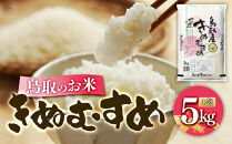 鳥取のお米&nbsp;きぬむすめ&nbsp;5kg&nbsp;精米【R7年産&nbsp;2025年産&nbsp;米&nbsp;こめ&nbsp;ご飯&nbsp;ごはん&nbsp;おにぎり&nbsp;おむすび&nbsp;夕食&nbsp;5キロ&nbsp;鳥取県産&nbsp;北栄町&nbsp;おすすめ&nbsp;人気】