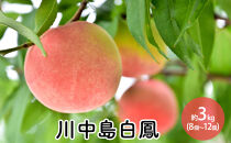 川中島白鳳約3kg（8個～12個）