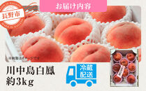 【2027年7月下旬～順次発送　先行予約】前島農家　川中島白鳳約3kg（8個～12個）&nbsp;|&nbsp;&nbsp;桃&nbsp;フルーツ&nbsp;果物&nbsp;旬&nbsp;人気&nbsp;おすすめ&nbsp;ギフト&nbsp;プレゼント&nbsp;送料無料&nbsp;長野県&nbsp;長野市&nbsp;信州&nbsp;信濃&nbsp;ふるさと納税