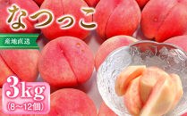 前島農家　なつっこ約3kg（8個～12個）&nbsp;|&nbsp;&nbsp;桃&nbsp;フルーツ&nbsp;果物&nbsp;旬&nbsp;&nbsp;人気&nbsp;おすすめ&nbsp;ギフト&nbsp;プレゼント&nbsp;送料無料&nbsp;長野県&nbsp;長野市&nbsp;信州&nbsp;信濃&nbsp;ふるさと納税
