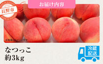 前島農家　なつっこ約3kg（8個～12個）&nbsp;|&nbsp;&nbsp;桃&nbsp;フルーツ&nbsp;果物&nbsp;旬&nbsp;&nbsp;人気&nbsp;おすすめ&nbsp;ギフト&nbsp;プレゼント&nbsp;送料無料&nbsp;長野県&nbsp;長野市&nbsp;信州&nbsp;信濃&nbsp;ふるさと納税