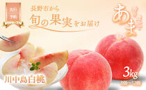 川中島白桃約3kg（8個～12個）