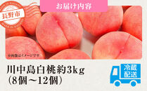 前島農家　川中島白桃約3kg（8個～12個）&nbsp;|&nbsp;&nbsp;桃&nbsp;フルーツ&nbsp;果物&nbsp;旬&nbsp;&nbsp;&nbsp;人気&nbsp;おすすめ&nbsp;ギフト&nbsp;プレゼント&nbsp;送料無料&nbsp;長野県&nbsp;長野市&nbsp;信州&nbsp;信濃&nbsp;ふるさと納税