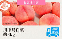 前島農家　川中島白桃約3kg（8個～12個）&nbsp;|&nbsp;&nbsp;桃&nbsp;フルーツ&nbsp;果物&nbsp;旬&nbsp;&nbsp;&nbsp;人気&nbsp;おすすめ&nbsp;ギフト&nbsp;プレゼント&nbsp;送料無料&nbsp;長野県&nbsp;長野市&nbsp;信州&nbsp;信濃&nbsp;ふるさと納税