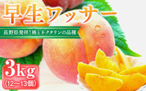 前島農家　早生ワッサー約3kg（12個～13個）&nbsp;|&nbsp;&nbsp;桃&nbsp;フルーツ&nbsp;果物&nbsp;旬&nbsp;人気&nbsp;おすすめ&nbsp;ギフト&nbsp;プレゼント&nbsp;送料無料&nbsp;長野県&nbsp;長野市&nbsp;信州&nbsp;信濃&nbsp;ふるさと納税
