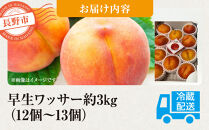 前島農家　早生ワッサー約3kg（12個～13個）&nbsp;|&nbsp;&nbsp;桃&nbsp;フルーツ&nbsp;果物&nbsp;旬&nbsp;人気&nbsp;おすすめ&nbsp;ギフト&nbsp;プレゼント&nbsp;送料無料&nbsp;長野県&nbsp;長野市&nbsp;信州&nbsp;信濃&nbsp;ふるさと納税