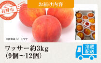 前島農家　ワッサー約3kg（9個～12個）&nbsp;|&nbsp;&nbsp;桃&nbsp;フルーツ&nbsp;果物&nbsp;旬&nbsp;人気&nbsp;おすすめ&nbsp;ギフト&nbsp;プレゼント&nbsp;送料無料&nbsp;長野県&nbsp;長野市&nbsp;信州&nbsp;信濃&nbsp;ふるさと納税