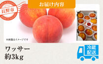 前島農家　ワッサー約3kg（9個～12個）&nbsp;|&nbsp;&nbsp;桃&nbsp;フルーツ&nbsp;果物&nbsp;旬&nbsp;人気&nbsp;おすすめ&nbsp;ギフト&nbsp;プレゼント&nbsp;送料無料&nbsp;長野県&nbsp;長野市&nbsp;信州&nbsp;信濃&nbsp;ふるさと納税