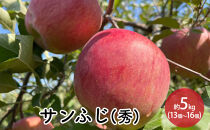 信州りんご・サンふじ（秀）約5kg（12個～16個）