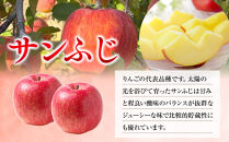 信州りんご・サンふじ（秀）約5kg（12個～18個）&nbsp;|&nbsp;&nbsp;りんご&nbsp;フルーツ&nbsp;果物&nbsp;旬&nbsp;サンふじ&nbsp;人気&nbsp;おすすめ&nbsp;ギフト&nbsp;プレゼント&nbsp;送料無料&nbsp;長野県&nbsp;長野市&nbsp;信州&nbsp;信濃&nbsp;ふるさと納税
