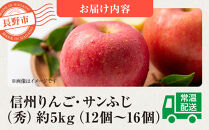 信州りんご・サンふじ（秀）約5kg（12個～18個）&nbsp;|&nbsp;&nbsp;りんご&nbsp;フルーツ&nbsp;果物&nbsp;旬&nbsp;サンふじ&nbsp;人気&nbsp;おすすめ&nbsp;ギフト&nbsp;プレゼント&nbsp;送料無料&nbsp;長野県&nbsp;長野市&nbsp;信州&nbsp;信濃&nbsp;ふるさと納税