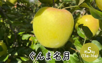 ぐんま名月約5kg（13個～16個）