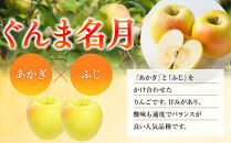 ぐんま名月約5kg（12個～18個）&nbsp;|&nbsp;&nbsp;りんご&nbsp;フルーツ&nbsp;果物&nbsp;旬&nbsp;&nbsp;ぐんま名月&nbsp;人気&nbsp;おすすめ&nbsp;ギフト&nbsp;プレゼント&nbsp;送料無料&nbsp;長野県&nbsp;長野市&nbsp;信州&nbsp;信濃&nbsp;ふるさと納税