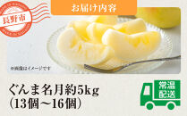 ぐんま名月約5kg（12個～18個）&nbsp;|&nbsp;&nbsp;りんご&nbsp;フルーツ&nbsp;果物&nbsp;旬&nbsp;&nbsp;ぐんま名月&nbsp;人気&nbsp;おすすめ&nbsp;ギフト&nbsp;プレゼント&nbsp;送料無料&nbsp;長野県&nbsp;長野市&nbsp;信州&nbsp;信濃&nbsp;ふるさと納税