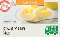 ぐんま名月約5kg（12個～18個）&nbsp;|&nbsp;&nbsp;りんご&nbsp;フルーツ&nbsp;果物&nbsp;旬&nbsp;&nbsp;ぐんま名月&nbsp;人気&nbsp;おすすめ&nbsp;ギフト&nbsp;プレゼント&nbsp;送料無料&nbsp;長野県&nbsp;長野市&nbsp;信州&nbsp;信濃&nbsp;ふるさと納税