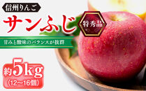 信州りんご・サンふじ（特秀品）約5kg（12個～18個）