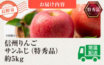信州りんご・サンふじ（特秀品）約5kg（12個～18個）
