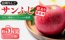 信州りんご・サンふじ（家庭用）約5kg（12個～18個）