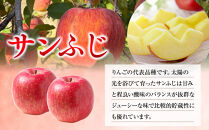 信州りんご・サンふじ（家庭用）約5kg（12個～18個）