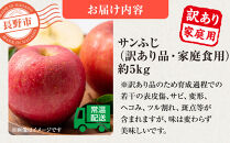 信州りんご・サンふじ（家庭用）約5kg（12個～18個）